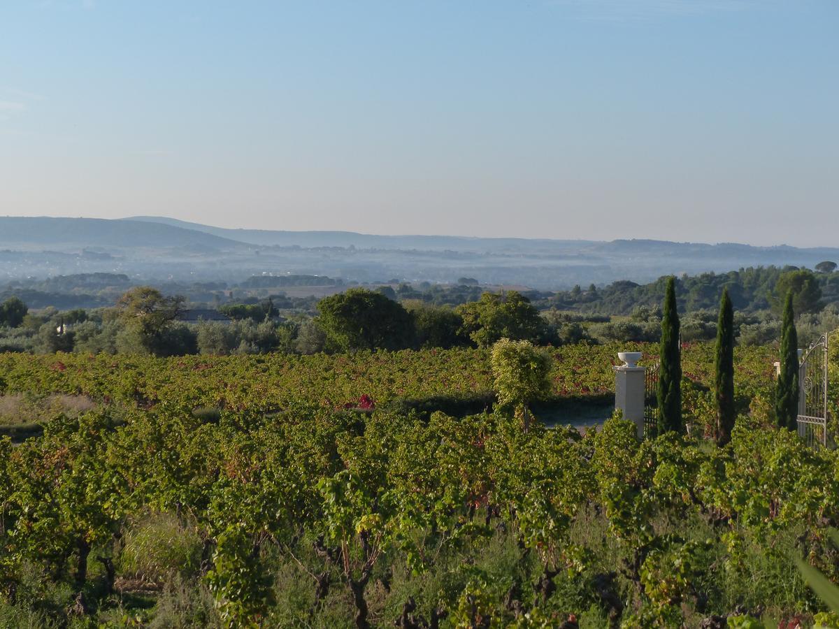 Chateau De Valloubiere-Gite Saint-Jean-de-Fos Buitenkant foto